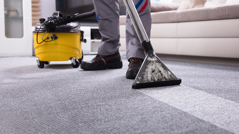 Person shampooing carpet