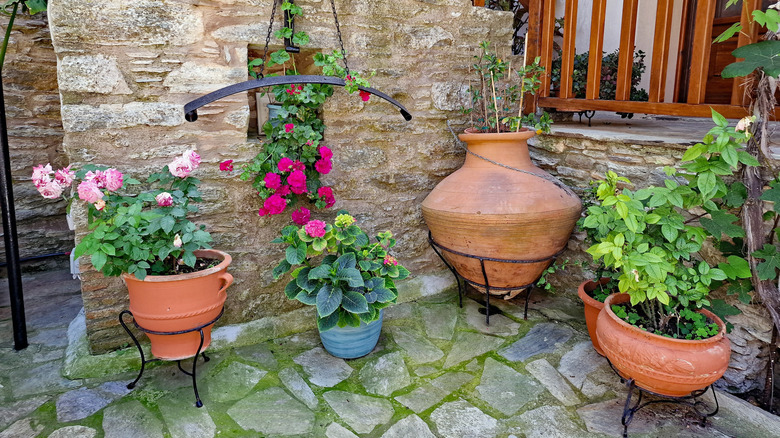 Plants in terracotta pots and vases next to stone wall