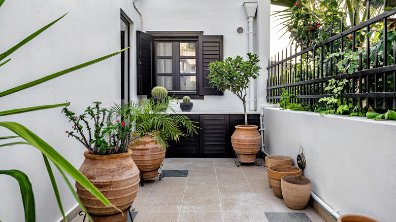 Earthy-colored pottery and plants in backyard