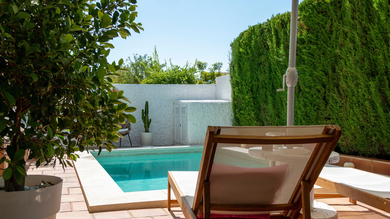 Pool in backyard surrounded by greenery