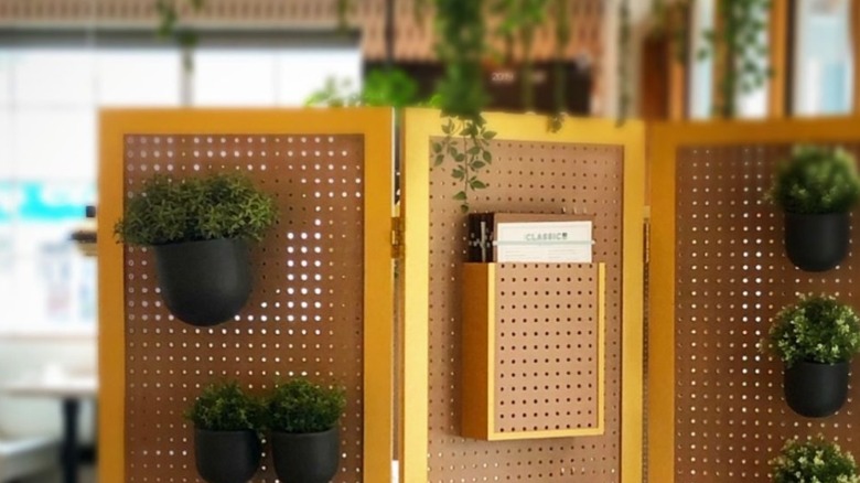 Folding screen with pegboard and plants