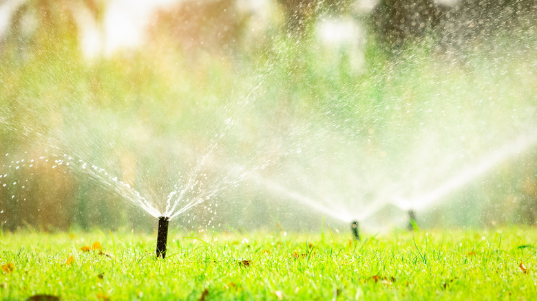Sprinkler system watering lawn