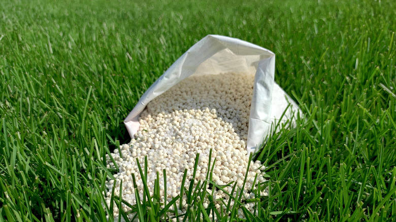 Bag of fertilizer on lawn