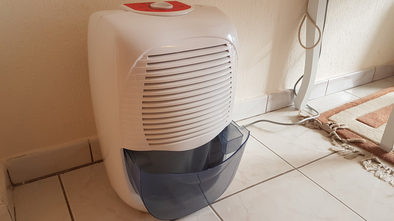 clean dehumidifier