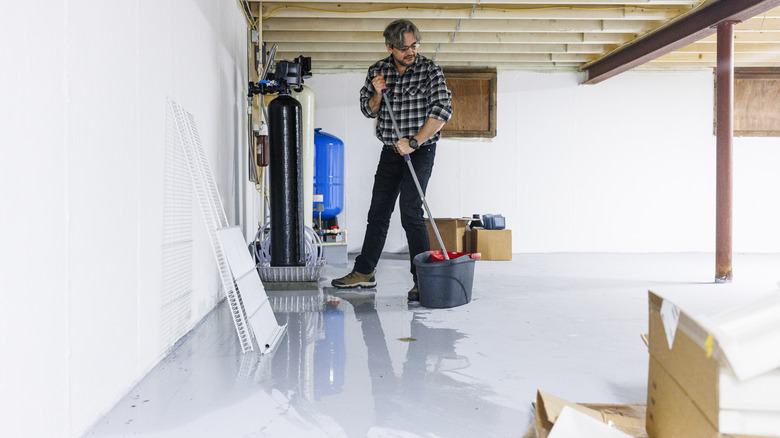 person cleaning basement