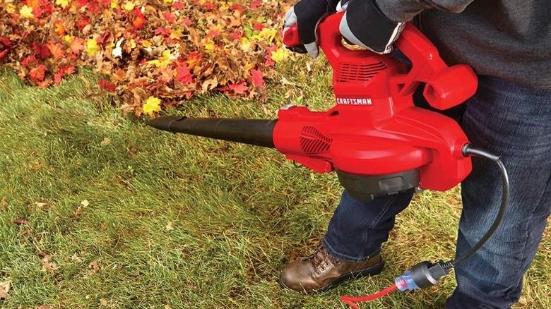 person blowing leaves