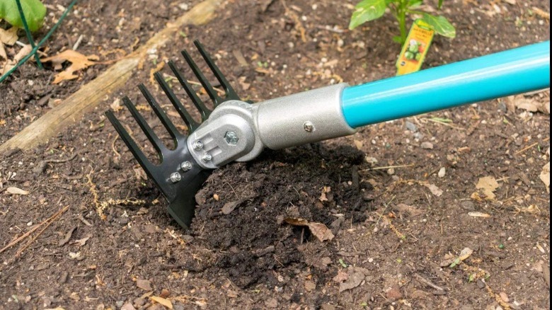 gardening tool with blue handle