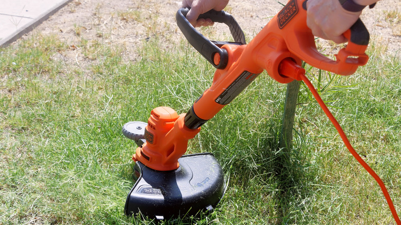 person using lawn edger on grass