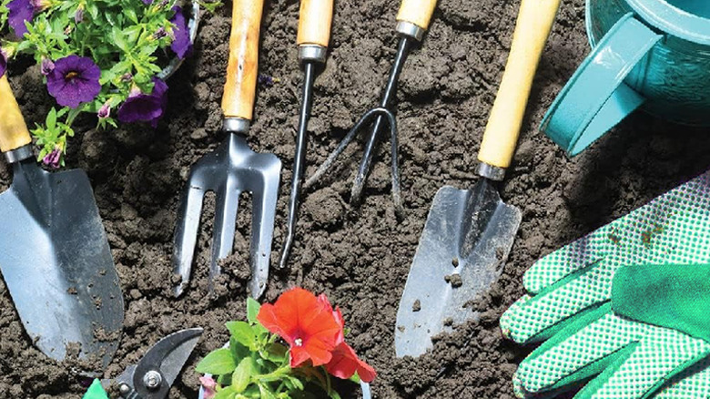 A comprehensive set of garden tools laying on the dirt in a garden bed.