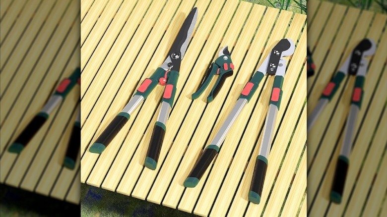 A set of garden loppers and shears lying on a wooden deck.