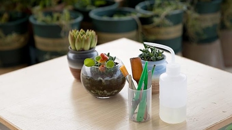 A cup holding tiny tools designed for succulents and mini gardens sits on a table next to some potted plants.