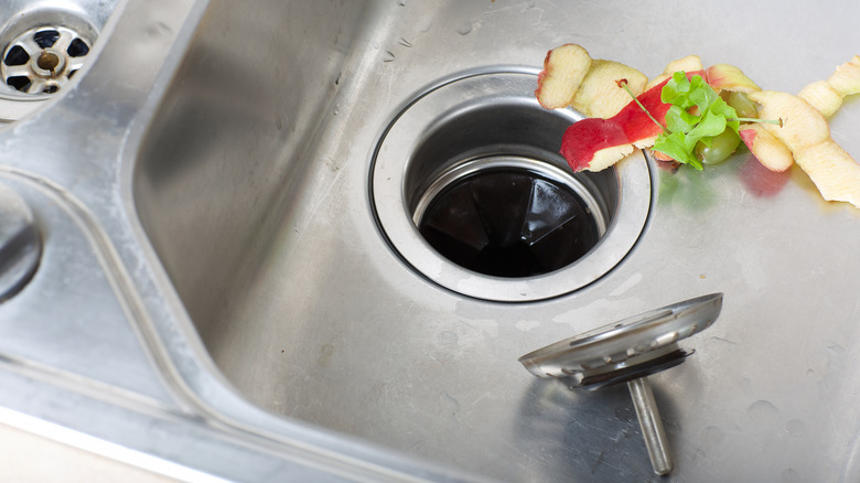 Food waste by a garbage disposal