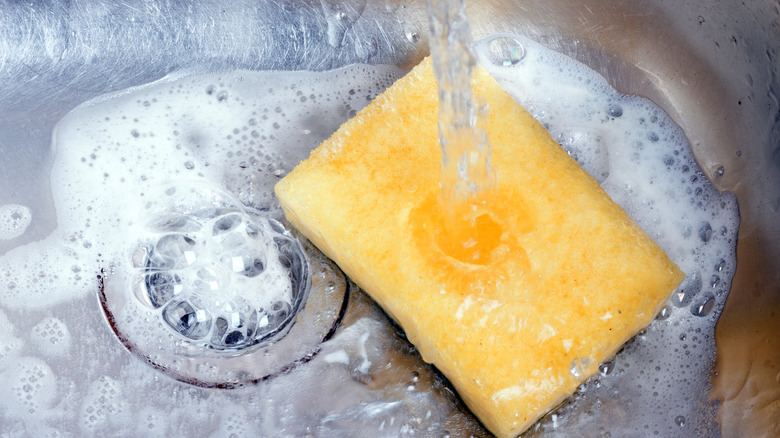 Washing a kitchen sponge