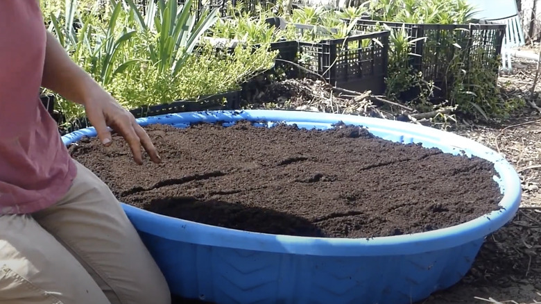 Kiddie pool full of compost