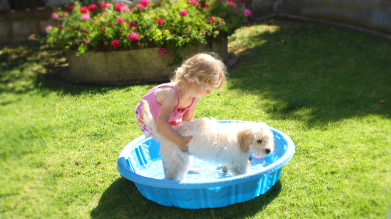 Child washing dog in kiddie pool