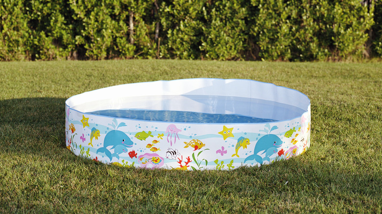 kiddie pool on lawn