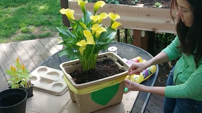 person decorating cooler flower planter