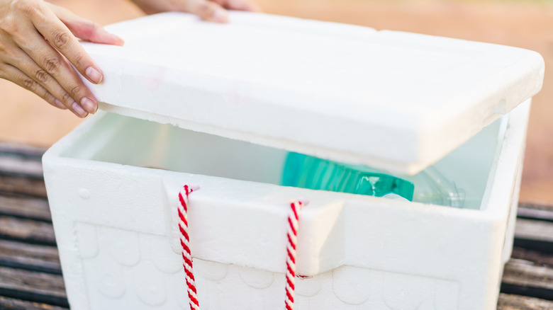 person opening foam cooler