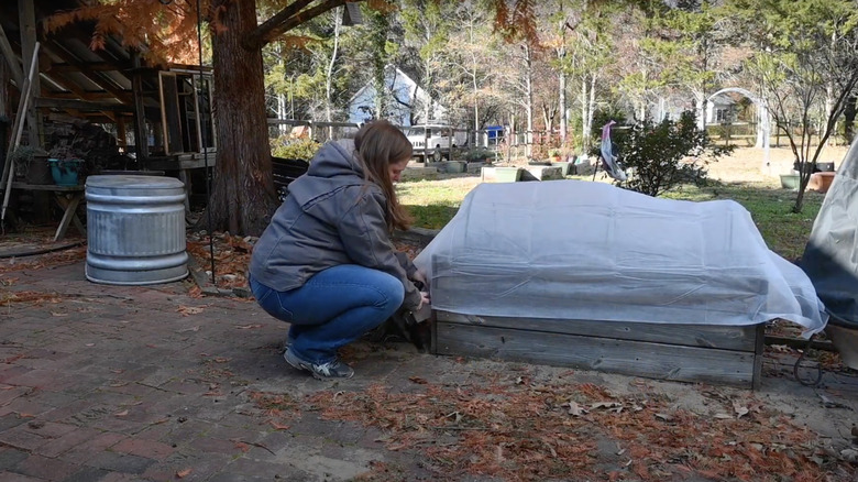 A woman adds a row cover to a raised garden bed to protect the plants inside from cold late fall temperatures.