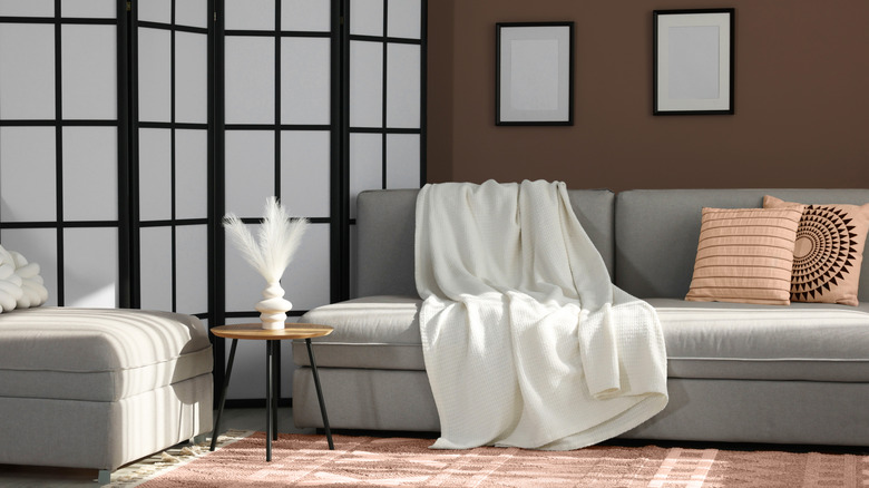 Living room with dark brown walls, mocha mousse rug, and paned room divider.