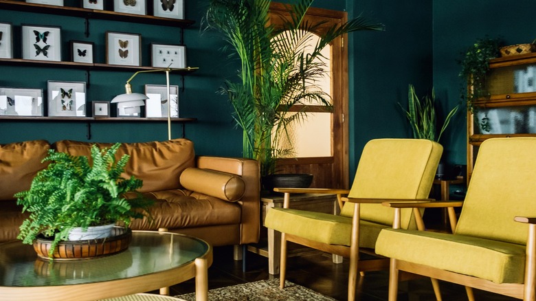 A teal painted room with butterfly artwork on the walls, wooden furniture, golden chairs, and a brown leather couch.