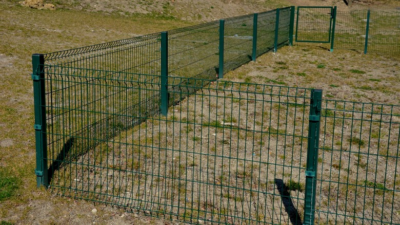 yard with green metal fence