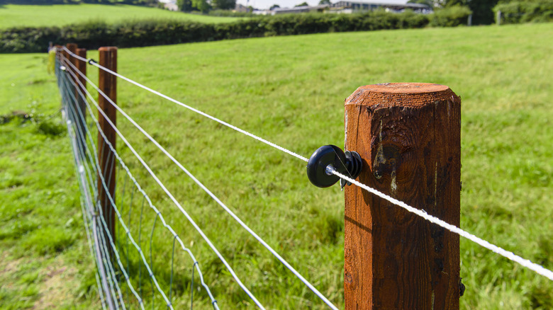 wood and wire fence