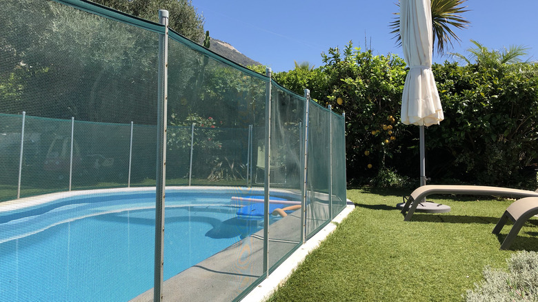 mesh fence in a yard