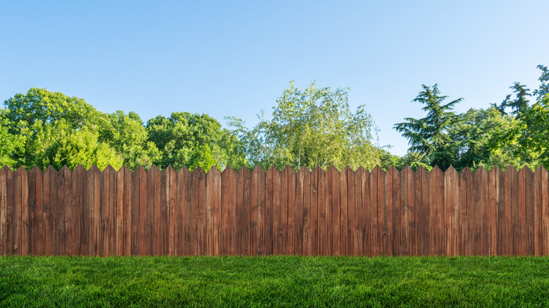 wood fence and grass