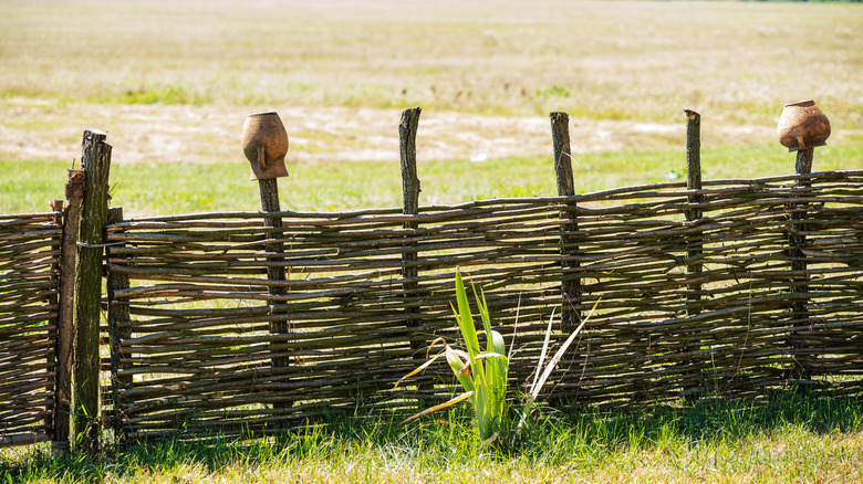 woven willow wicker fence