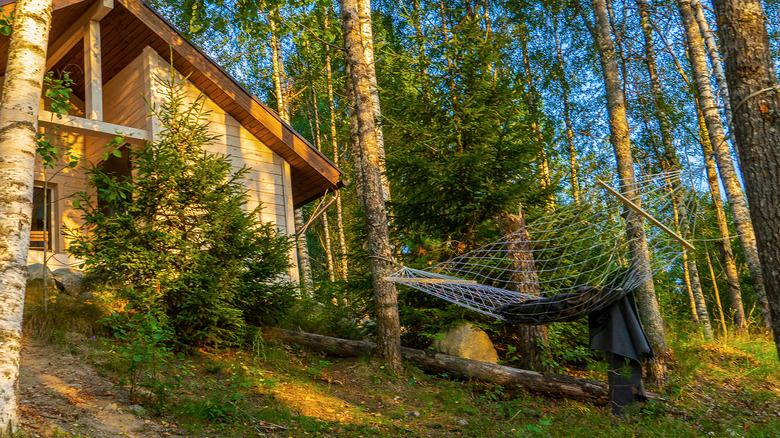 hammock on a hill