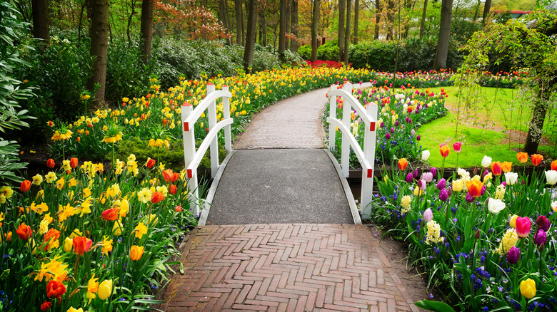 brick path surrounded by flowers