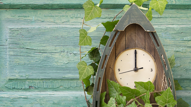 boat clock on a wall