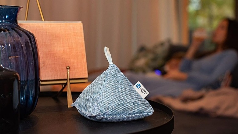 Bamboo air purifying bag in living room