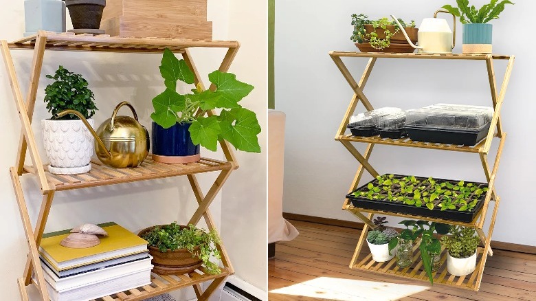 Bamboo plant stand