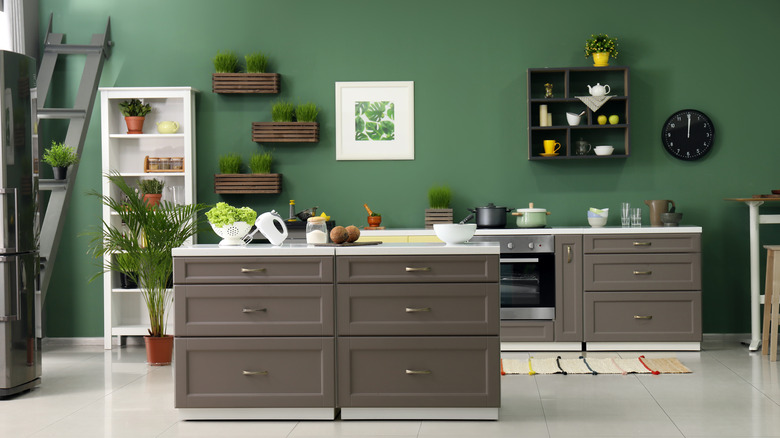 kitchen with green wall