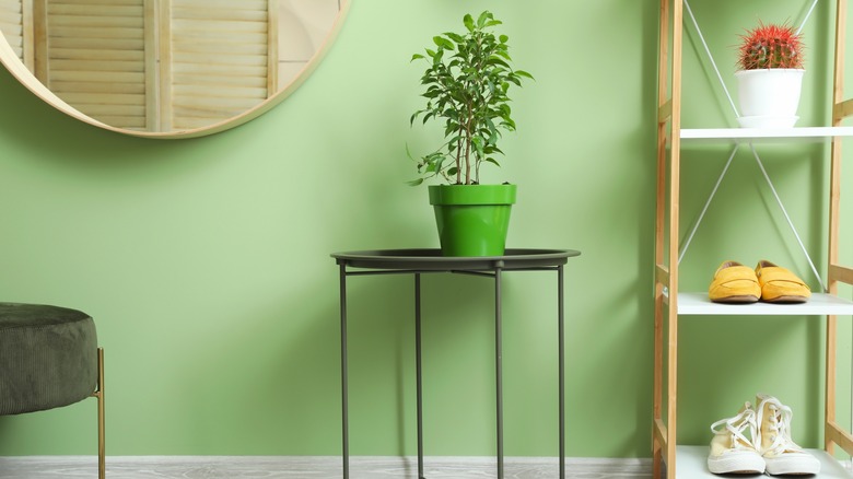 15 Best Green Paint Colors For A Vibrant Home