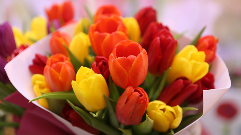 a bouquet of tulips