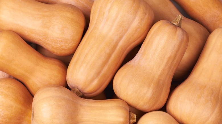 butternut squash