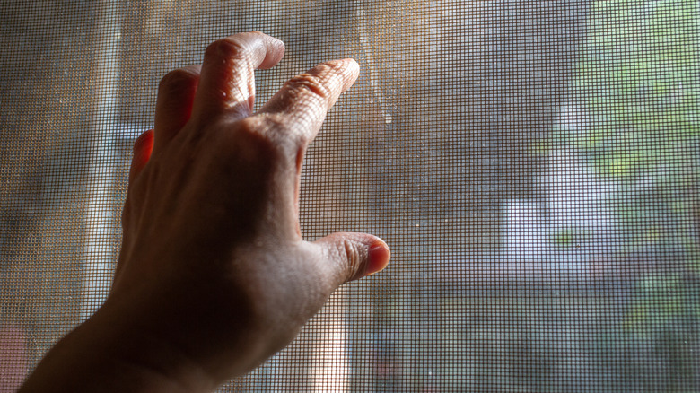 hand touching a window screen