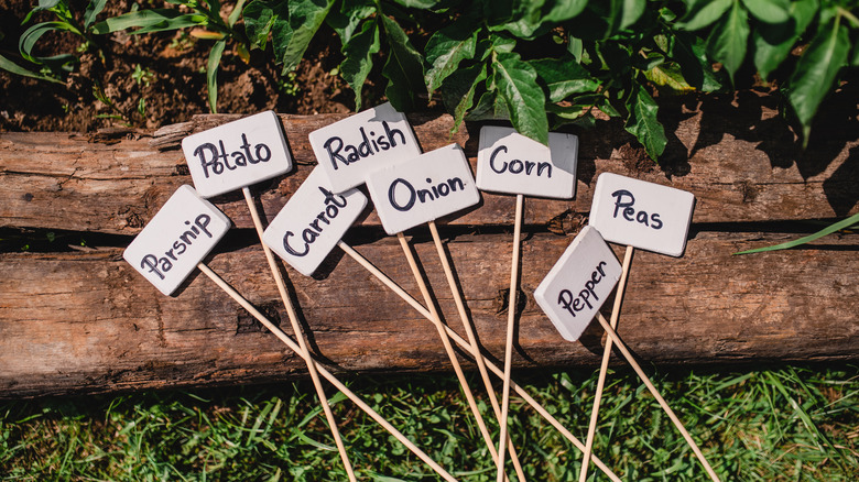 garden labels sitting outside against a log