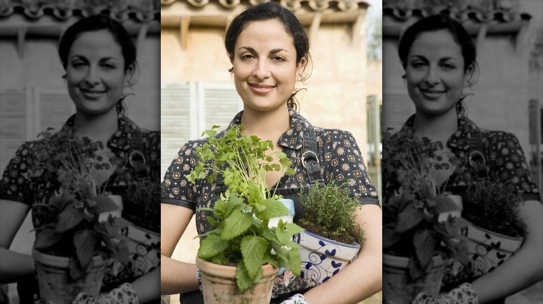 woman holding basil plant 