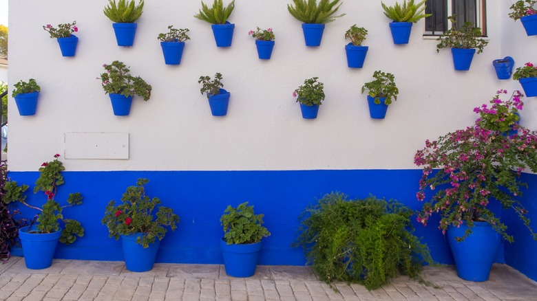 blue and white wall with flowers