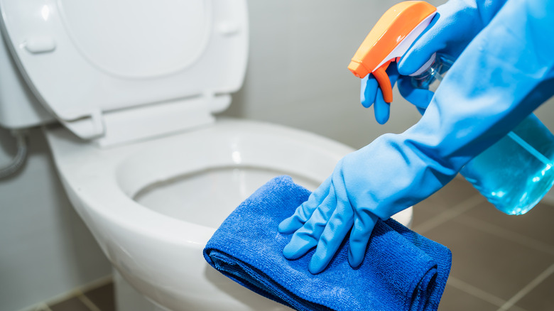 toilet bowl being cleaned