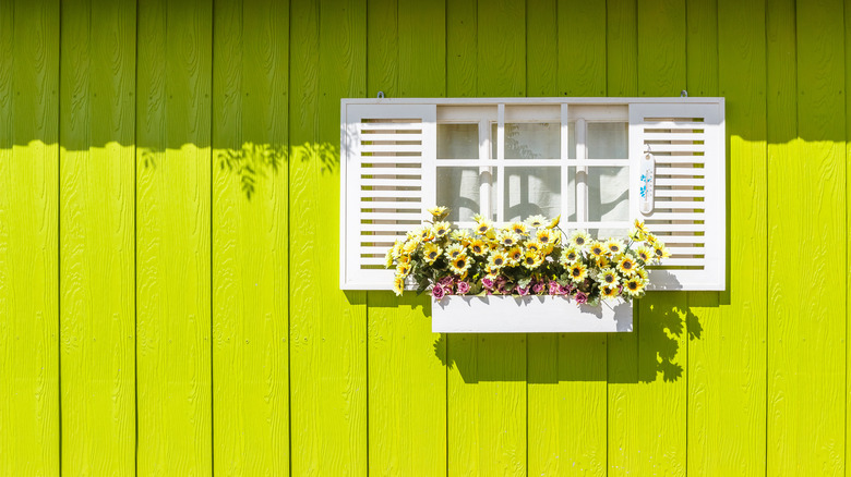 chartreuse wall with yellow flowers