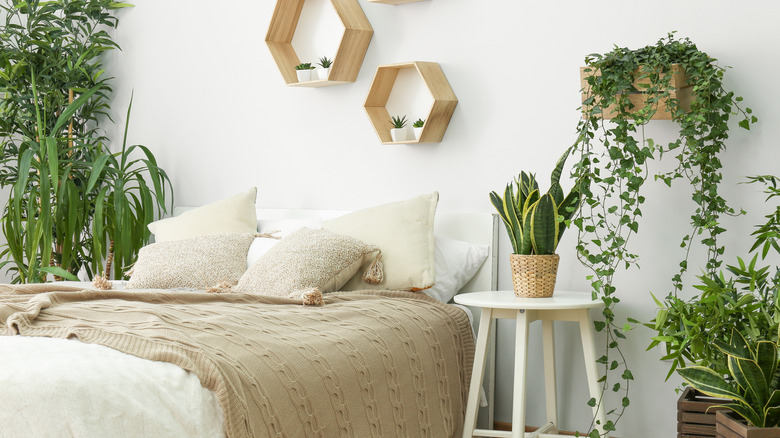 bed surrounded by plants