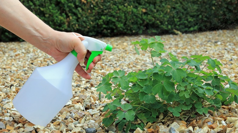 liquid spraying plant