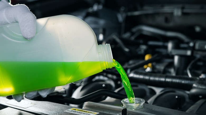 Pouring antifreeze into radiator