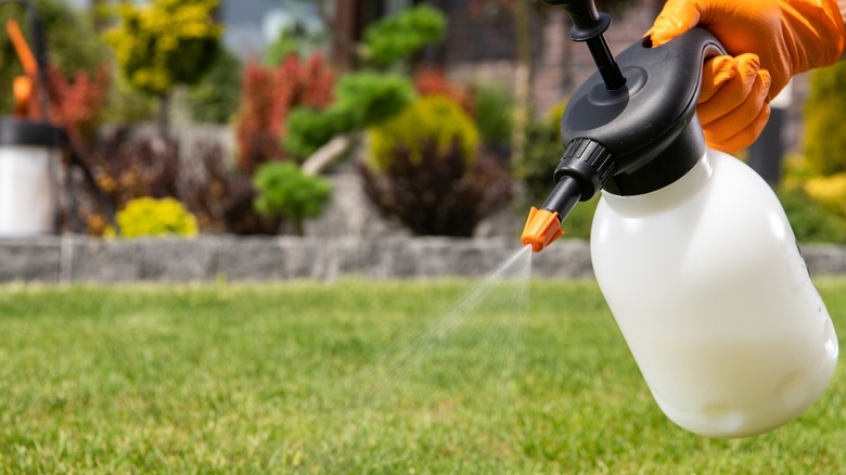 Spraying white pesticide container