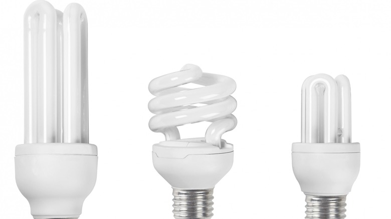 Three compact fluorescent light bulbs